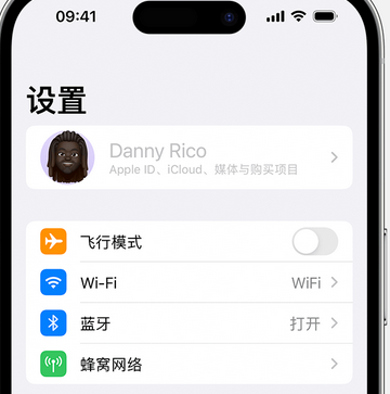 西平appleID维修服务iPhone设置中Apple ID显示为灰色无法使用