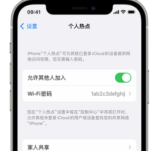 西平apple服务站点分享iPhone上个人热点丢失了怎么办 