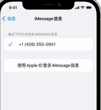 西平apple维修iPhone上无法正常发送iMessage信息 