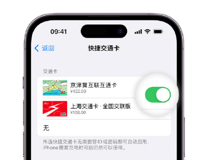 西平apple维修点分享iPhone上更换Apple Pay快捷交通卡手绘卡面 