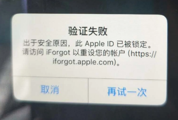 西平iPhone维修分享iPhone上正常登录或使用AppleID怎么办 