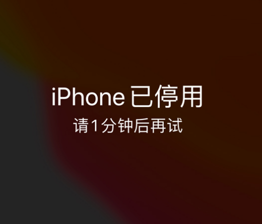 西平苹果手机维修分享:iPhone 显示“不可用”或“已停用”怎么办？还能保留数据吗？ 