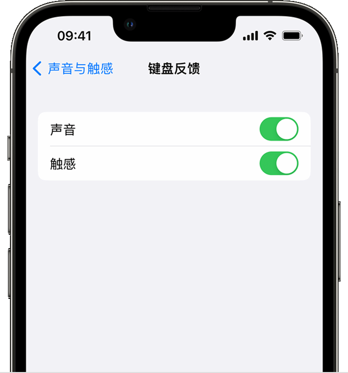 西平苹果14维修店分享如何在 iPhone 14 机型中使用触感键盘 