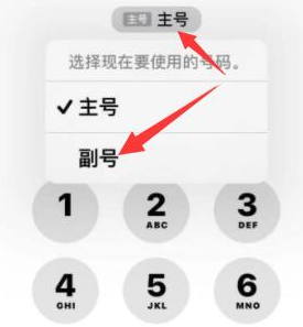 西平苹果14维修店分享iPhone 14 Pro Max使用副卡打电话的方法 