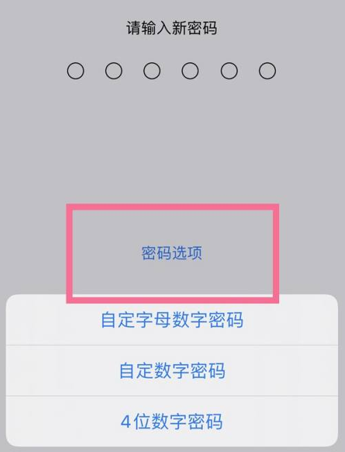 西平苹果14维修分享iPhone 14plus设置密码的方法 