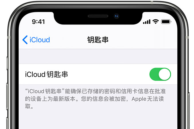 西平苹果手机维修分享在 iPhone 上开启 iCloud 钥匙串之后会储存哪些信息 