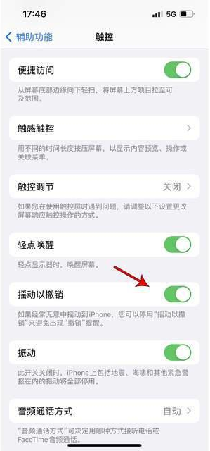 西平苹果手机维修分享iPhone手机如何设置摇一摇删除文字 